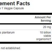 LactobacillusplantarumIntestinalSupport-nutri11cd3