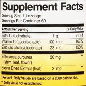 Natures-Way-Zinc-Lozenge-60-Lozenges-B00024D3SK-78e157