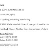 WGVHpi365c02