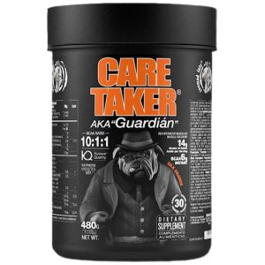CARETAKER BCAA 10:1:1 - 480g, Портокал