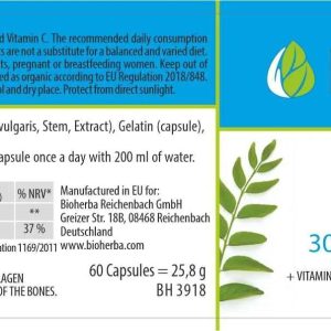 bh3918_bamboo_extract_en_60c_200420239cec6