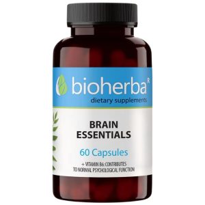 Brain Essentials