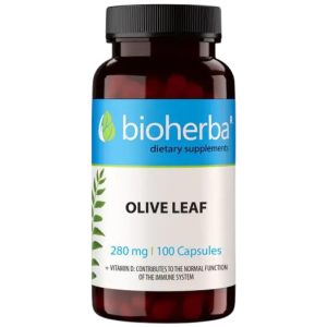 Olive Leaf 280 mg