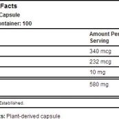 bladderwrack-facts