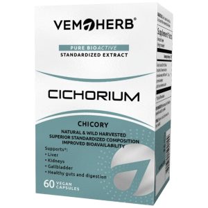 Cichorium