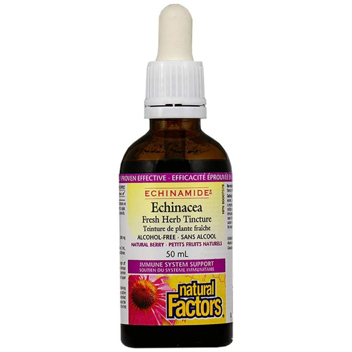 echinacea-05eb85e-white-1000w