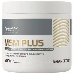 MSM Plus