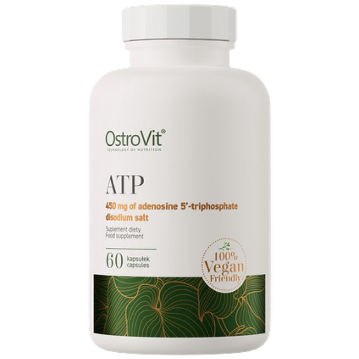 eng_pm_ostrovit-atp-vege-60-capsules-26049_1-39e7353-1000x1000xwhite eng_pm_ostrovit-atp-vege-60-capsules-26049_1-39e7353-1000x1000xwhite