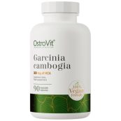 eng_pm_ostrovit-garcinia-cambogia-vege-90-capsules-25836_1-937911a-1000x1000xwhite