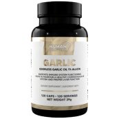 garlic_front_b51efbab86-f47d634-1000x1000-1
