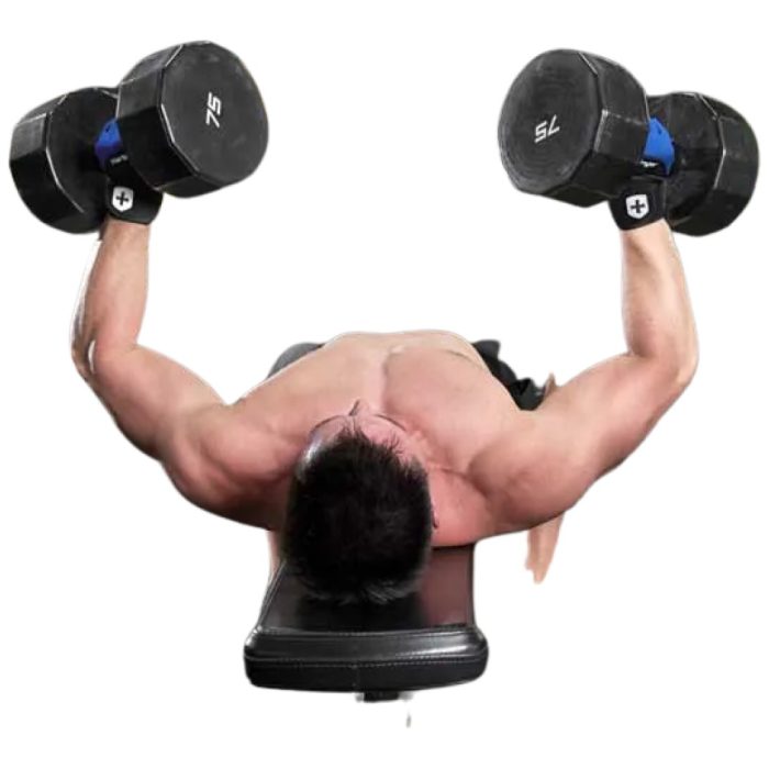 harbinger-training-grip-2.0-training-gloves1-ea91e57-1000x1000xwhite harbinger-training-grip-2.0-training-gloves1-ea91e57-1000x1000xwhite