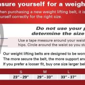 harbingerleatherpaddedbelt45952