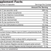 jarrow_formulas_vision_optimizer_sf
