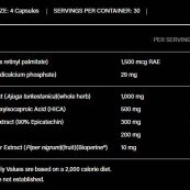 lBPCzkd888fa