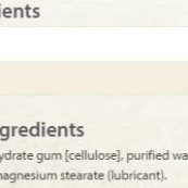 natural_factors_l_carnitine_sf