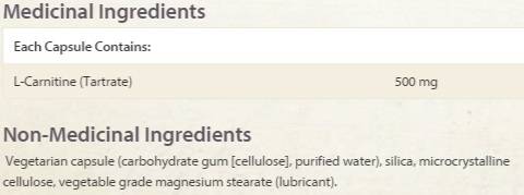 natural_factors_l_carnitine_sf natural_factors_l_carnitine_sf