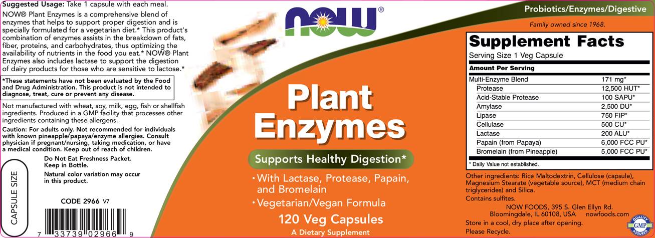 now_plant_enzymes_120vcaps_sfeb173 now_plant_enzymes_120vcaps_sfeb173