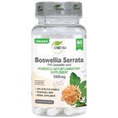 organic-23_boswellia_serrata_100ml_new-1-600x902-521ed5c-1000x1000xwhite