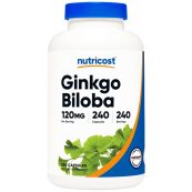 pamet-ginko-biloba-120-mg-240-kapsuli-88732b0-1000x1000-1