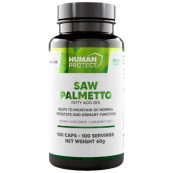 sawpalmetto-ec478d6-1000x1000-1