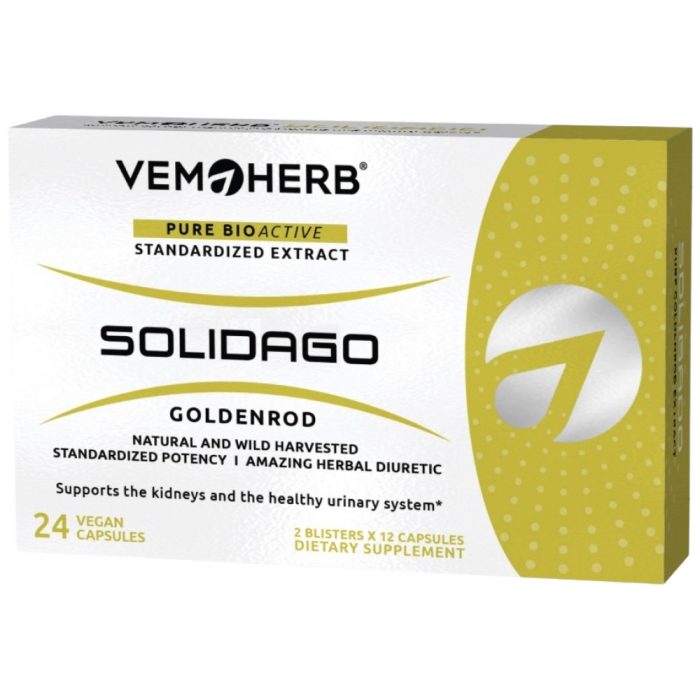 solidago-1-99dd005-1000x1000-1