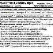 st.johnswort-back-lable-bg17e3a