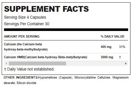 supp-factsbba41 supp-factsbba41