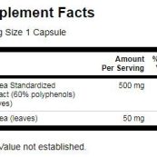 swanson_green_tea_extract_sf3cc97