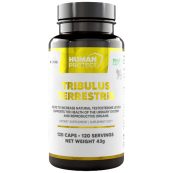 tribulus_front_e7348413e7-f6c7129-1000x1000-1
