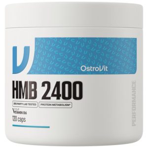 HMB 2400