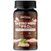 gastromendpro-700x800w-665d964-1000x1000xwhite