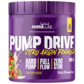 pol_pm_hiro-lab-pump-drive-300g-44628_1-1164f01-1000x1000xwhite