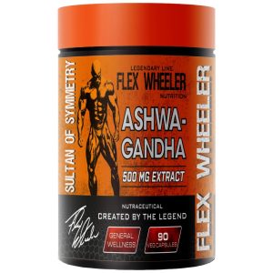 Ashwagandha 500 mg